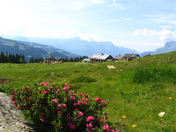 Photo Auberge du Truc