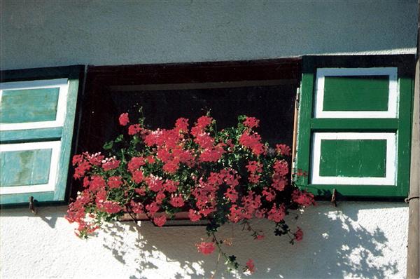 Photo Hôtel Lavachey